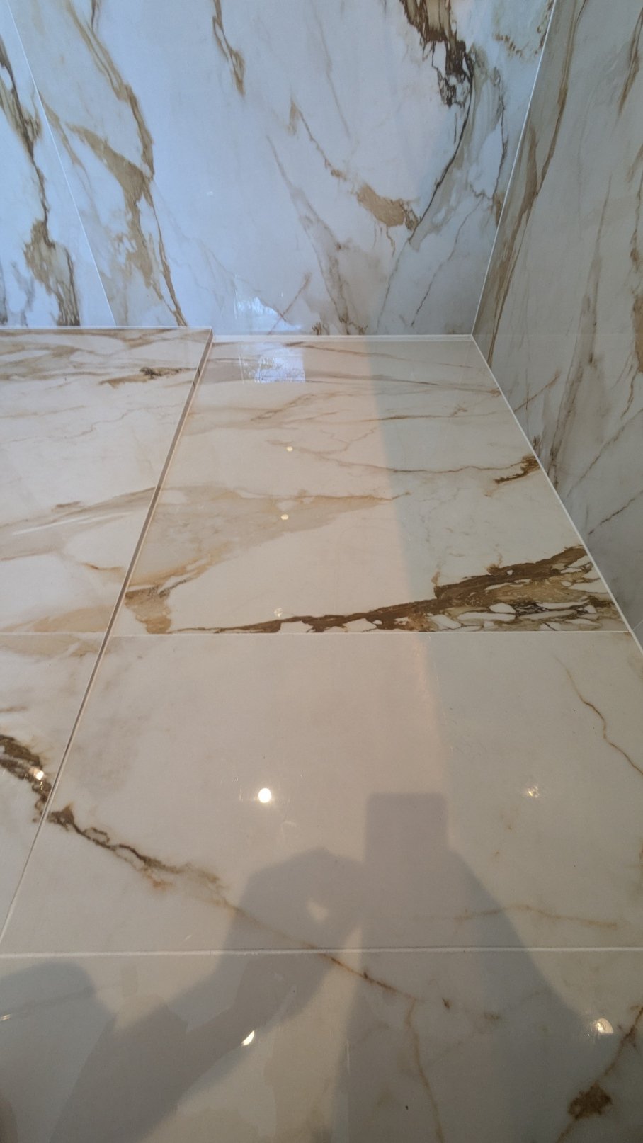 PXL_20240715_100739419.MP